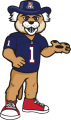 Arizona Wildcats 2013-Pres Mascot Logo 02 Iron On Transfer