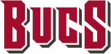 Tampa Bay Buccaneers 2020-Pres Wordmark Logo 03 Iron On Transfer