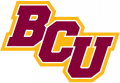 Bethune-Cookman Wildcats 2016-Pres Secondary Logo Print Decal