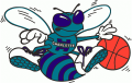 Charlotte Hornets 1988 89-2001 02 Alternate Logo Print Decal
