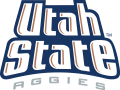 Utah State Aggies 1996-2011 Wordmark Logo Iron On Transfer