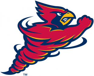 Iowa State Cyclones 1995-2006 Alternate Logo 04 Iron On Transfer