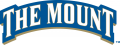 Mount St. Marys Mountaineers 2004-Pres Wordmark Logo 01 Print Decal