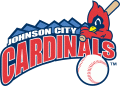 Johnson City Cardinals 1995-Pres Primary Logo Iron On Transfer