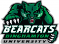 Binghamton Bearcats 2001-Pres Alternate Logo 02 Iron On Transfer