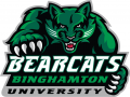 Binghamton Bearcats 2001-Pres Alternate Logo 02 Print Decal