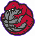 Toronto Raptors 1995-1998 Alternate Logo Print Decal