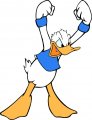 Donald Duck Logo 16 Iron On Transfer