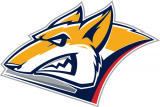 Metallurg Magnitogorsk 2012 Alternate Logo Iron On Transfer