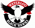 Waterloo Black Hawks 2007 08-2013 14 Primary Logo Iron On Transfer