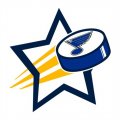 st.louis blues Hockey Goal Star logo Iron On Transfer