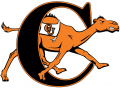 Campbell Fighting Camels 2008-Pres Primary Logo Print Decal