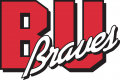 Bradley Braves 1989-2011 Primary Logo Iron On Transfer
