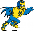 Delaware Blue Hens 1999-Pres Mascot Logo 04 Print Decal