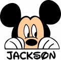 Mickey Mouse Logo 01 Print Decal