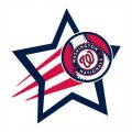 Washington Nationals Baseball Goal Star logo Iron On Transfer