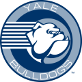 Yale Bulldogs 1998-Pres Alternate Logo Iron On Transfer