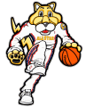 NBA All-Star Game 2004-2005 Mascot Logo Iron On Transfer