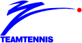 World TeamTennis 1983-1984 Primary Logo Iron On Transfer