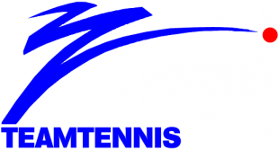 World TeamTennis 1983-1984 Primary Logo Print Decal