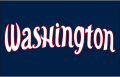 Washington Mystics 2016-Pres Jersey Logo 2 Print Decal