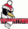 Youngstown State Penguins 1993-2005 Primary Logo Iron On Transfer