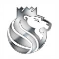 Sacramento Kings Silver Logo Iron On Transfer