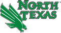 North Texas Mean Green 2005-Pres Primary Logo Print Decal