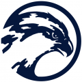 UNF Ospreys 1998 Primary Logo Iron On Transfer