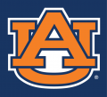 Auburn Tigers 1991-Pres Alternate Logo Print Decal