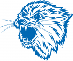 Montana State Bobcats 1960-1978 Alternate Logo 02 Iron On Transfer