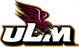 Louisiana-Monroe Warhawks 2006-2010 Alternate Logo 04 Iron On Transfer