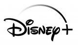 Disney Logo 14 Iron On Transfer