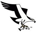 Missoula Osprey 1999-Pres Alternate Logo Iron On Transfer