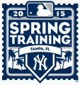 New York Yankees 2015 Event Logo Iron On Transfer