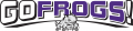 TCU Horned Frogs 2001-Pres Misc Logo Print Decal