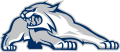 New Hampshire Wildcats 2000-Pres Alternate Logo 03 Print Decal
