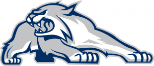 New Hampshire Wildcats 2000-Pres Alternate Logo 03 Print Decal