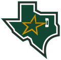 Dallas Stars 1999 00-2012 13 Alternate Logo Print Decal