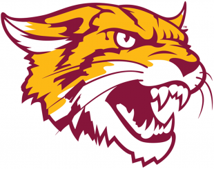 Bethune-Cookman Wildcats 2016-Pres Alternate Logo Iron On Transfer