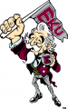 Eastern Kentucky Colonels 2004-Pres Mascot Logo Iron On Transfer