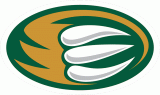 Everett Silvertips 2003 04-Pres Alternate Logo Iron On Transfer