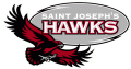 St.JosephsHawks 2001-Pres Alternate Logo 03 Iron On Transfer