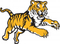 LSU Tigers 2002-2010 Alternate Logo Print Decal