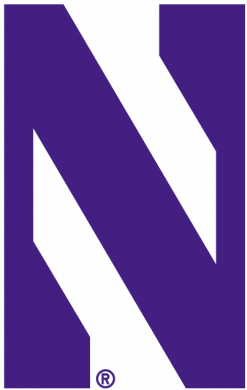 Northwestern Wildcats 1981-2011 Alternate Logo Iron On Transfer