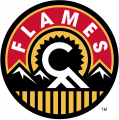 Calgary Flames 2013 14-2015 16 Alternate Logo Print Decal
