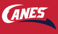 Lethbridge Hurricanes 2013 14-Pres Secondary Logo 2 Print Decal