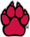 South Dakota Coyotes 2004-2011 Alternate Logo 02 Iron On Transfer