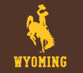 Wyoming Cowboys 2013-Pres Alternate Logo 01 Print Decal