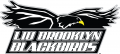 LIU-Brooklyn Blackbirds 2008-2018 Primary Logo Print Decal